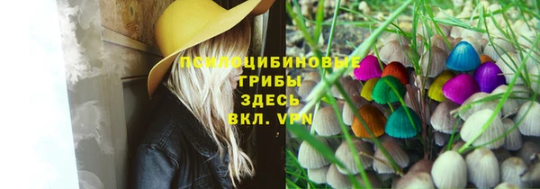 СК Белокуриха