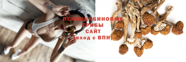 MDMA Premium VHQ Беломорск